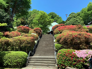 令和７年４月３０日