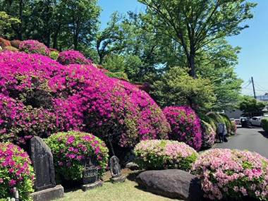 令和７年４月３０日