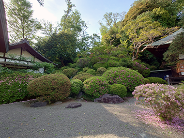 令和8年4月28日ｃ