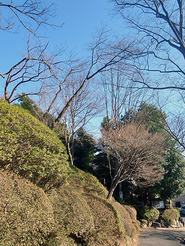 令和８年１月１日Ｂ