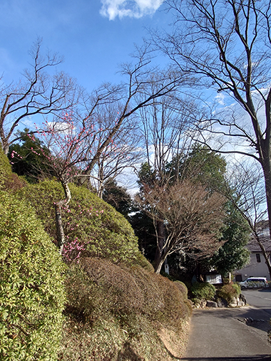 令和８年２月１日