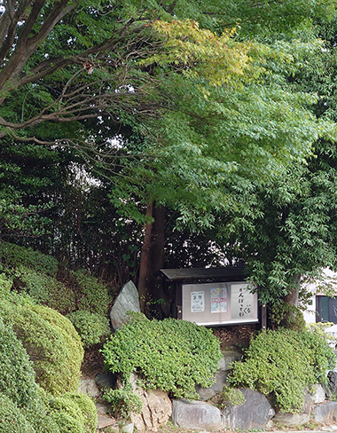 令和８年８月１日ｂ