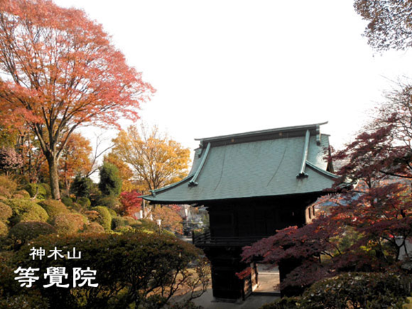 12月